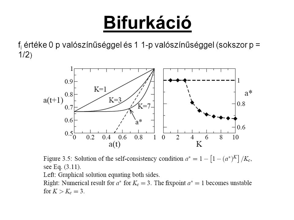 Bifurkáció f i értéke 0 p valószínűséggel és 1 1-p valószínűséggel (sokszor p = 1/2 )