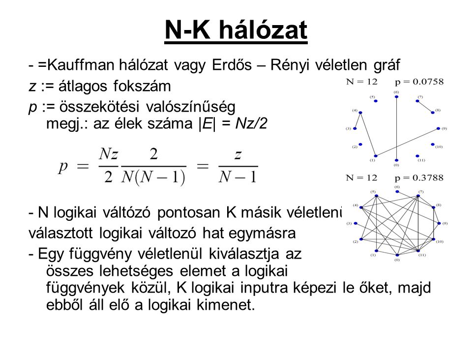 N-K hálózat - =Kauffman hálózat vagy Erdős – Rényi véletlen gráf z := átlagos fokszám p := összekötési valószínűség megj.: az élek száma |E| = Nz/2 - N logikai váltózó pontosan K másik véletlenül választott logikai változó hat egymásra - Egy függvény véletlenül kiválasztja az összes lehetséges elemet a logikai függvények közül, K logikai inputra képezi le őket, majd ebből áll elő a logikai kimenet.