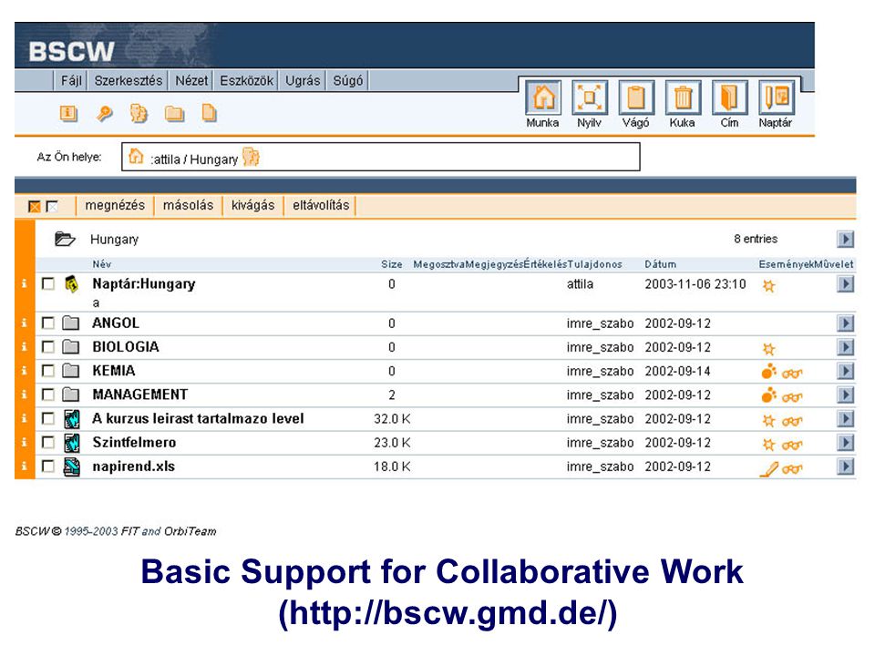Basic Support for Collaborative Work (