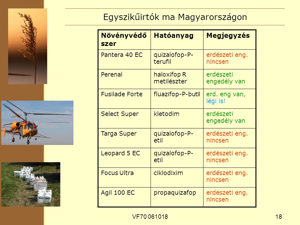 VF Egyszikűirtók ma Magyarországon Növényvédő szer HatóanyagMegjegyzés Pantera 40 ECquizalofop-P- terufil erdészeti eng.