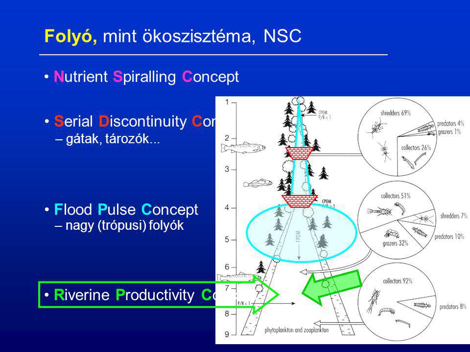 Nutrient Spiralling Concept Serial Discontinuity Concept Flood Pulse Concept – nagy (trópusi) folyók – gátak, tározók...