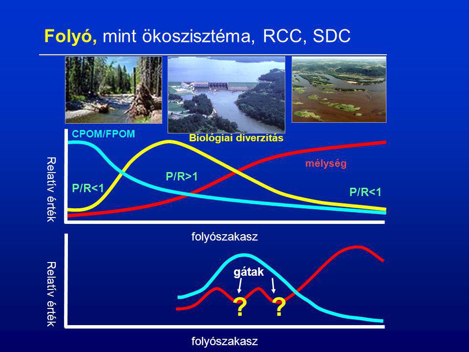 folyószakasz Relatív érték mélység Biológiai diverzitás CPOM/FPOM P/R<1 P/R>1 P/R<1 folyószakasz Relatív érték gátak .