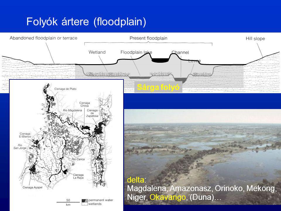 Folyók ártere (floodplain) Sárga folyó delta: Magdalena, Amazonasz, Orinoko, Mekong, Niger, Okavango, (Duna)…