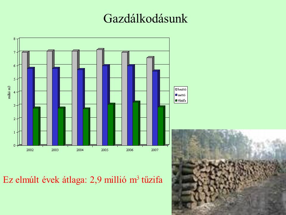 Gazdálkodásunk Ez elmúlt évek átlaga: 2,9 millió m 3 tűzifa