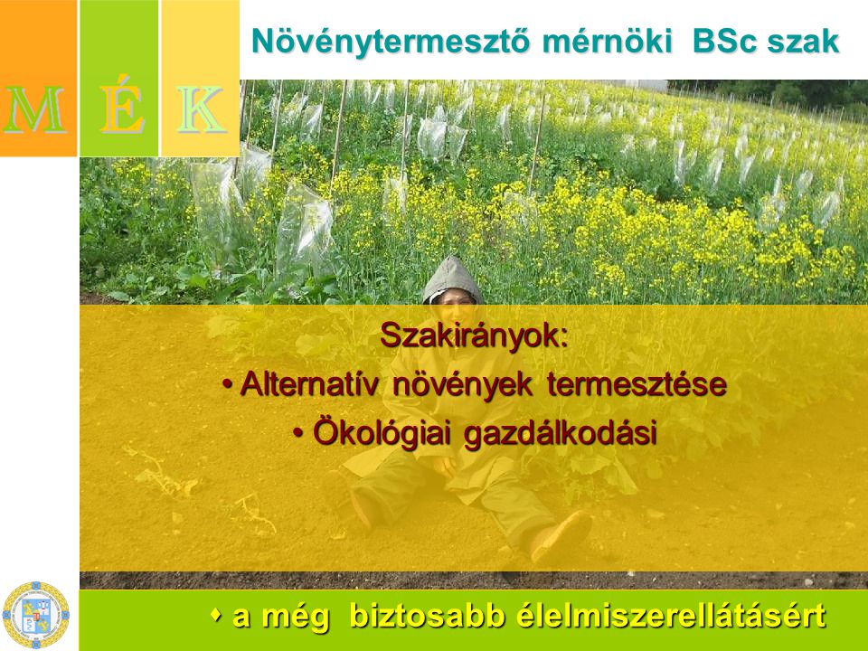  a még biztosabb élelmiszerellátásért Növénytermesztő mérnöki BSc szak Növénytermesztő mérnöki BSc szakSzakirányok: Alternatív növények termesztése Ökológiai gazdálkodási