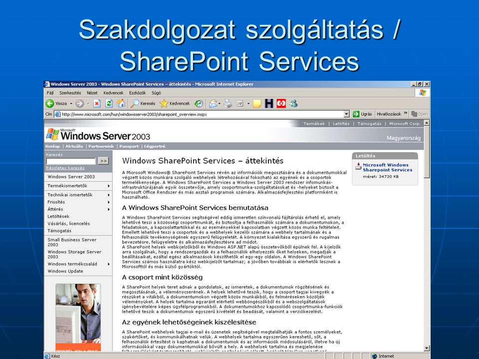 Szakdolgozat szolgáltatás / SharePoint Services