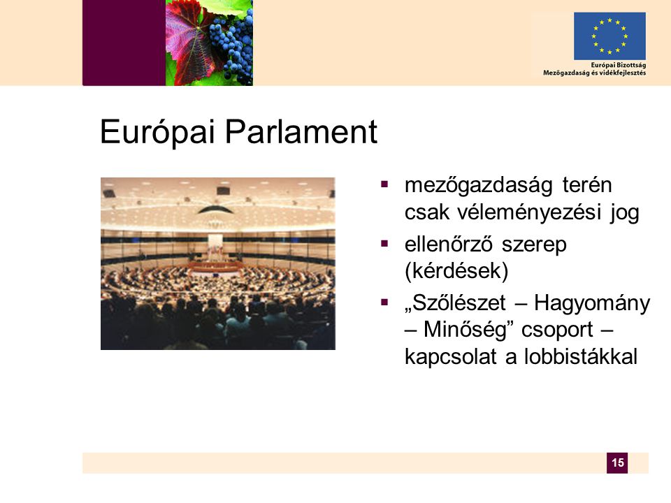 15 Európai Parlament  mezőgazdaság terén csak véleményezési jog  ellenőrző szerep (kérdések)  „Szőlészet – Hagyomány – Minőség csoport – kapcsolat a lobbistákkal