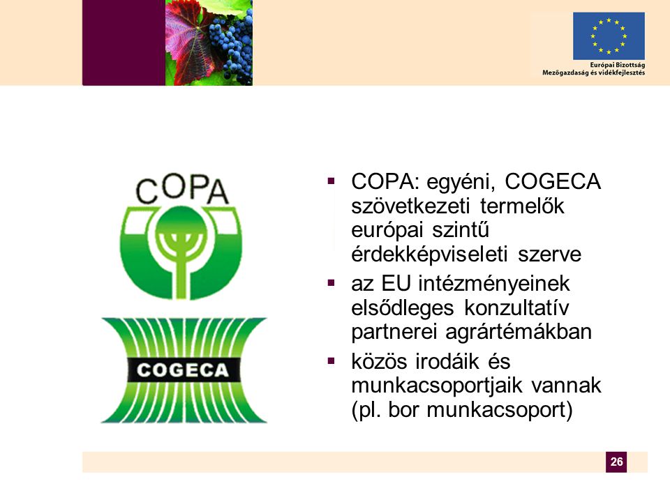 26  COPA: egyéni, COGECA szövetkezeti termelők európai szintű érdekképviseleti szerve  az EU intézményeinek elsődleges konzultatív partnerei agrártémákban  közös irodáik és munkacsoportjaik vannak (pl.