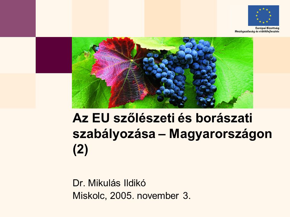 Dr. Mikulás Ildikó Miskolc, november 3.