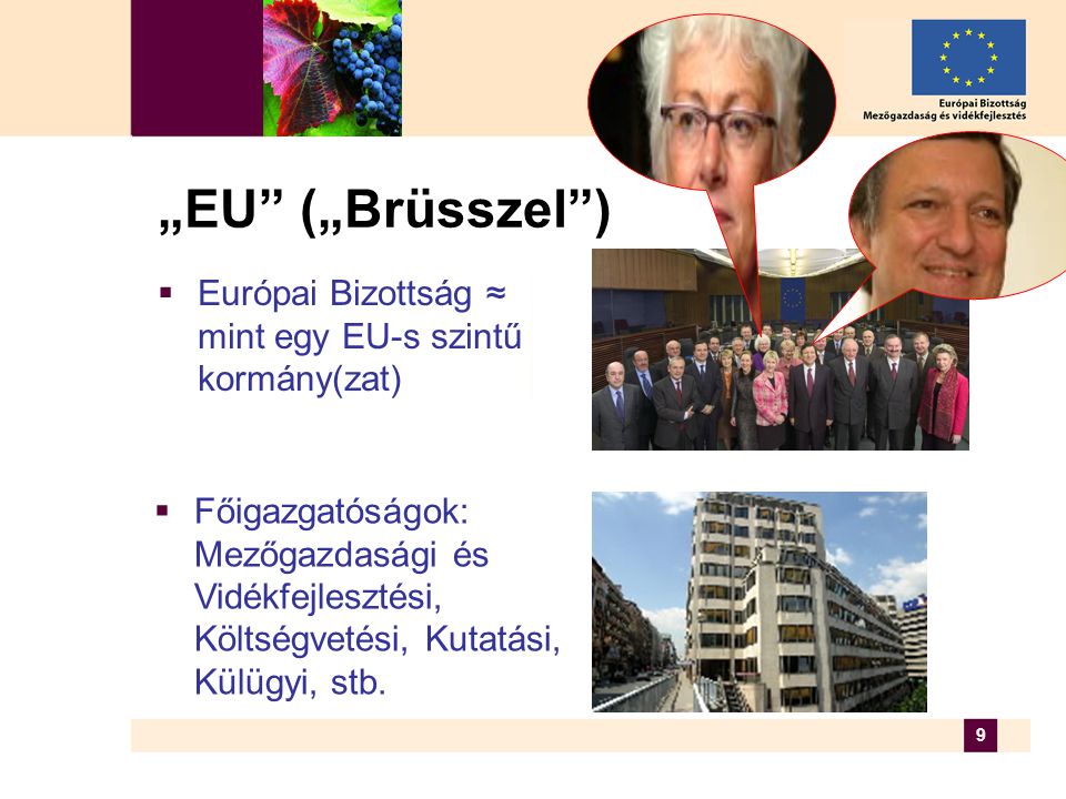9 „EU („Brüsszel )  Európai Bizottság ≈ mint egy EU-s szintű kormány(zat)  Főigazgatóságok: Mezőgazdasági és Vidékfejlesztési, Költségvetési, Kutatási, Külügyi, stb.