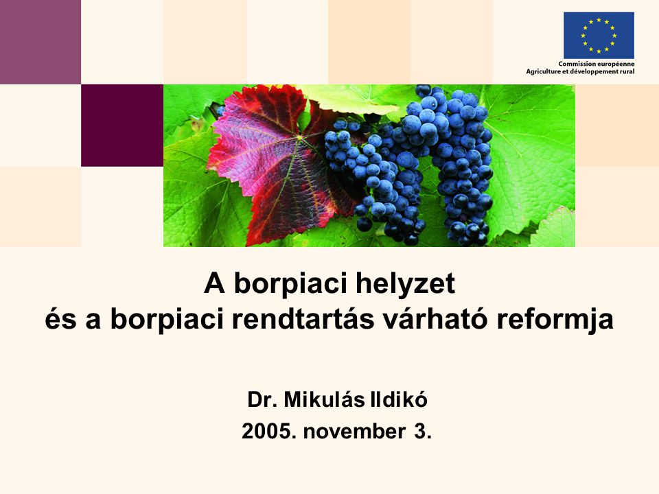 Dr. Mikulás Ildikó november 3. A borpiaci helyzet és a borpiaci rendtartás várható reformja