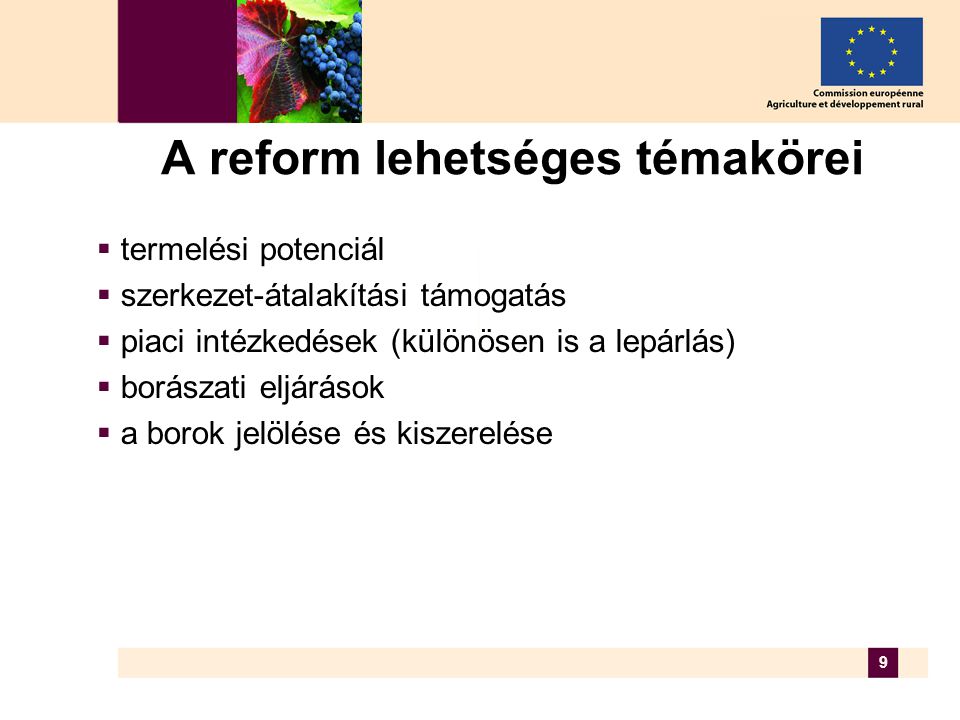 9 A reform lehetséges témakörei  termelési potenciál  szerkezet-átalakítási támogatás  piaci intézkedések (különösen is a lepárlás)  borászati eljárások  a borok jelölése és kiszerelése