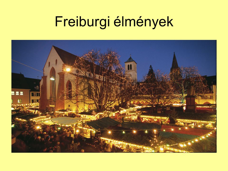 Freiburgi élmények