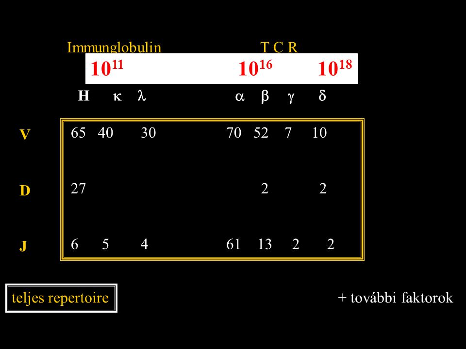 H   Immunglobulin T C R VDJVDJ teljes repertoire további faktorok