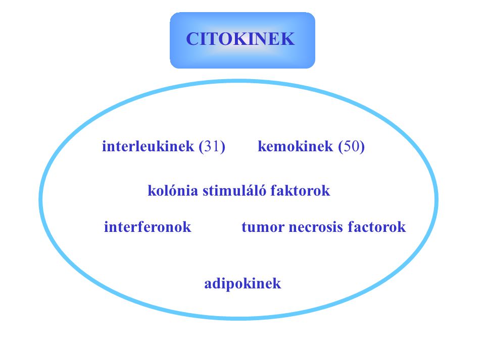 CITOKINEK interleukinek (31) interferonok kemokinek (50) tumor necrosis factorok kolónia stimuláló faktorok adipokinek