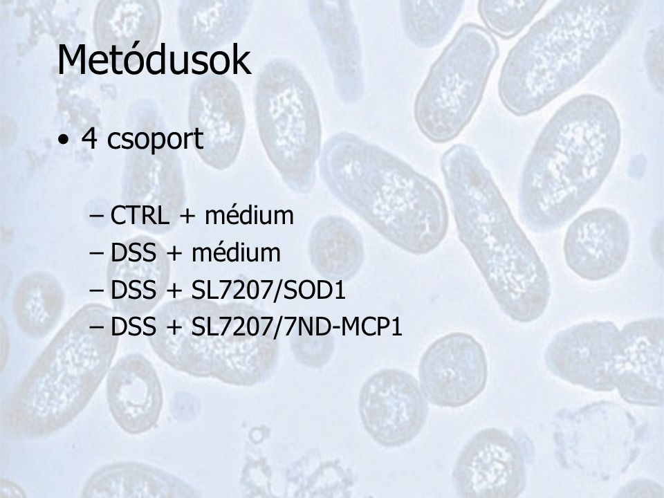 Metódusok 4 csoport –CTRL + médium –DSS + médium –DSS + SL7207/SOD1 –DSS + SL7207/7ND-MCP1