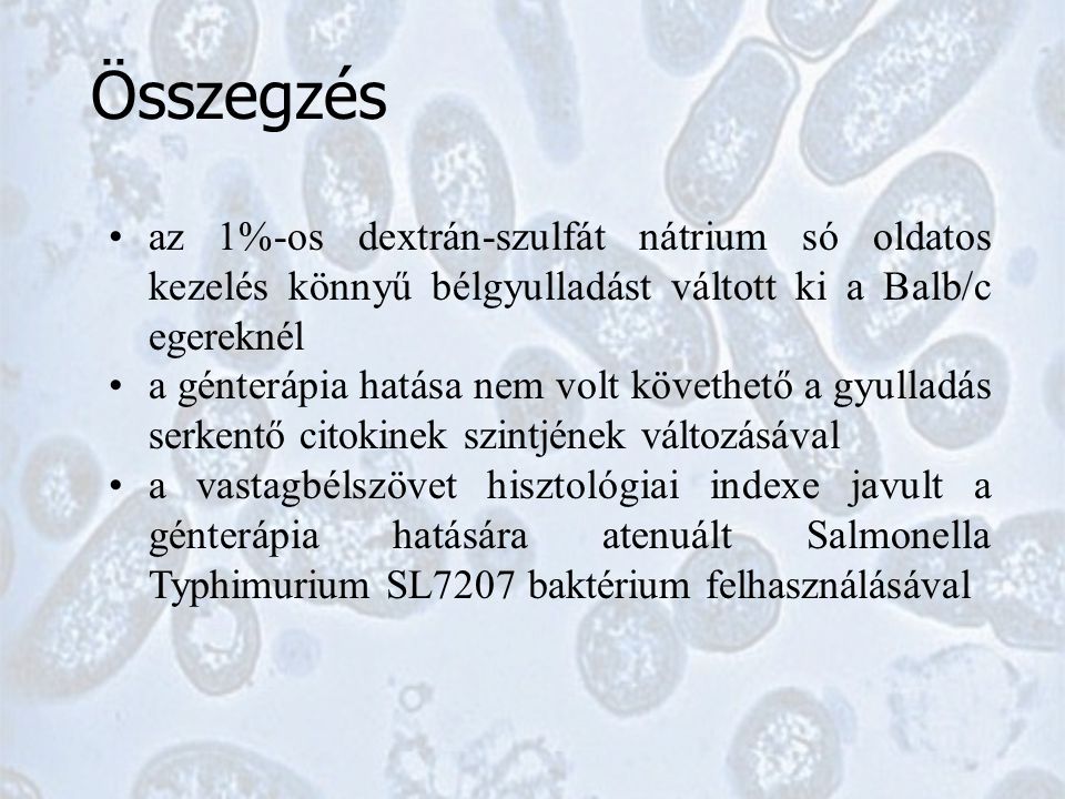 Összegzés az 1%-os dextrán-szulfát nátrium só oldatos kezelés könnyű bélgyulladást váltott ki a Balb/c egereknél a génterápia hatása nem volt követhető a gyulladás serkentő citokinek szintjének változásával a vastagbélszövet hisztológiai indexe javult a génterápia hatására atenuált Salmonella Typhimurium SL7207 baktérium felhasználásával