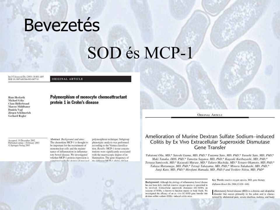 SOD és MCP-1 Bevezetés