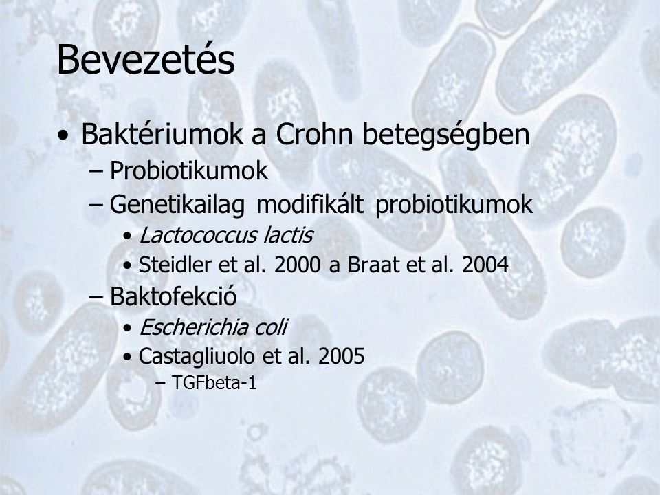 Baktériumok a Crohn betegségben –Probiotikumok –Genetikailag modifikált probiotikumok Lactococcus lactis Steidler et al.