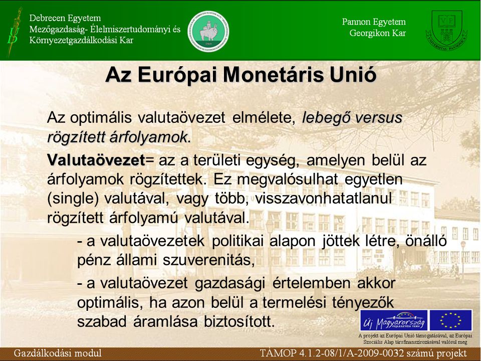 Az Európai Monetáris Unió lebegő versus rögzített árfolyamok.