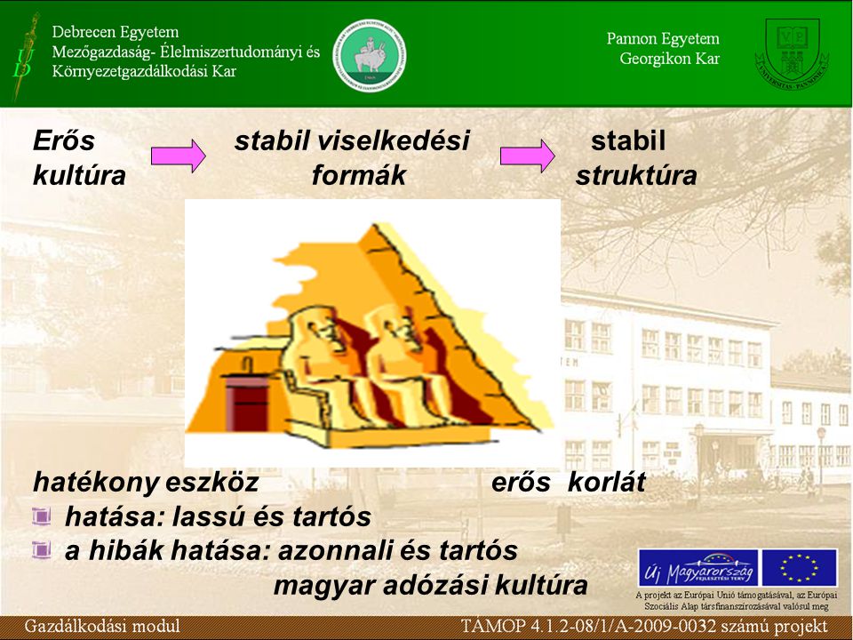 Erős stabil viselkedési stabil kultúra formák struktúra hatékony eszköz erős korlát hatása: lassú és tartós a hibák hatása: azonnali és tartós magyar adózási kultúra