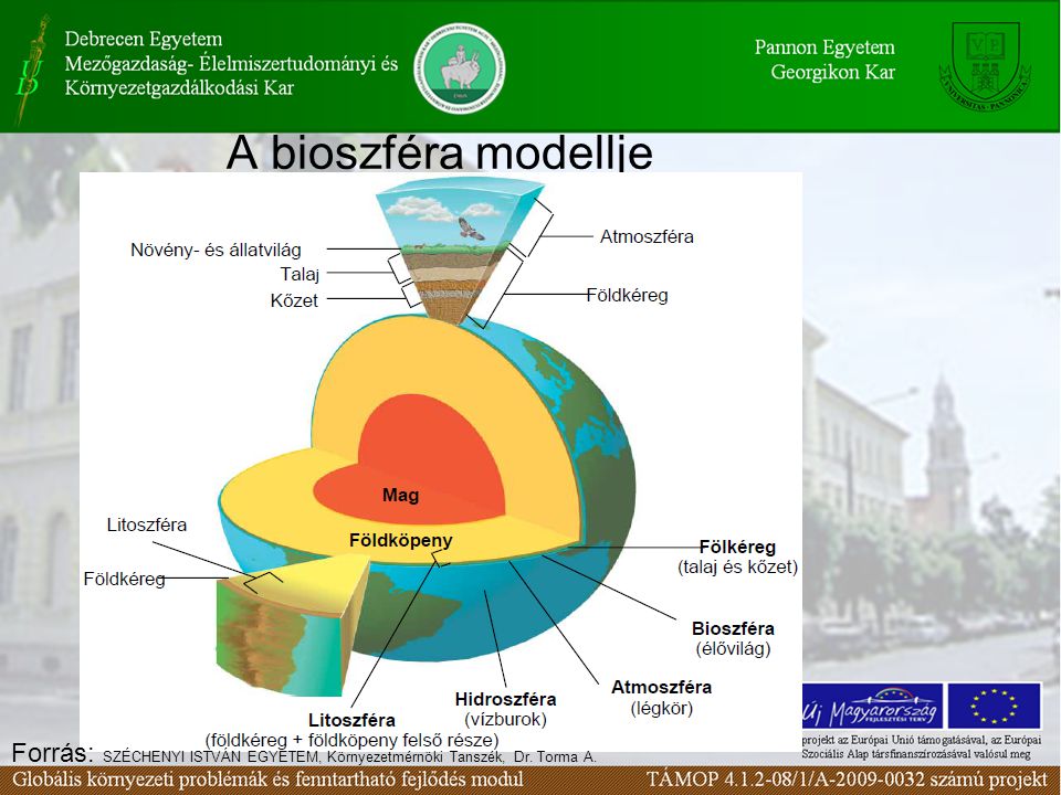 A bioszféra modellje Forrás: SZÉCHENYI ISTVÁN EGYETEM, Környezetmérnöki Tanszék, Dr. Torma A.