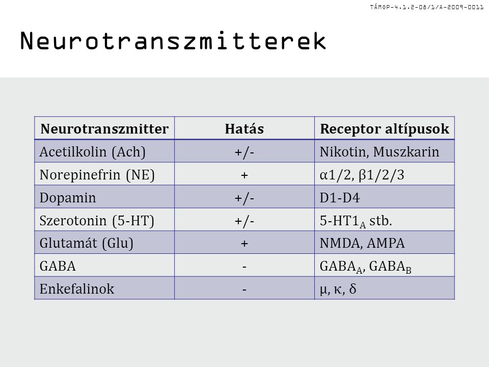 TÁMOP /1/A Neurotranszmitterek NeurotranszmitterHatásReceptor altípusok Acetilkolin (Ach)+/-Nikotin, Muszkarin Norepinefrin (NE)+α1/2, β1/2/3 Dopamin+/-D1-D4 Szerotonin (5-HT)+/-5-HT1 A stb.