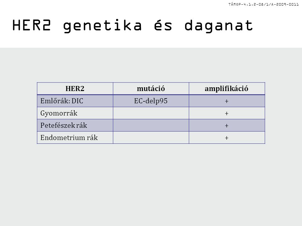 TÁMOP /1/A HER2 genetika és daganat HER2mutációamplifikáció Emlőrák: DICEC-delp95+ Gyomorrák+ Petefészek rák+ Endometrium rák+