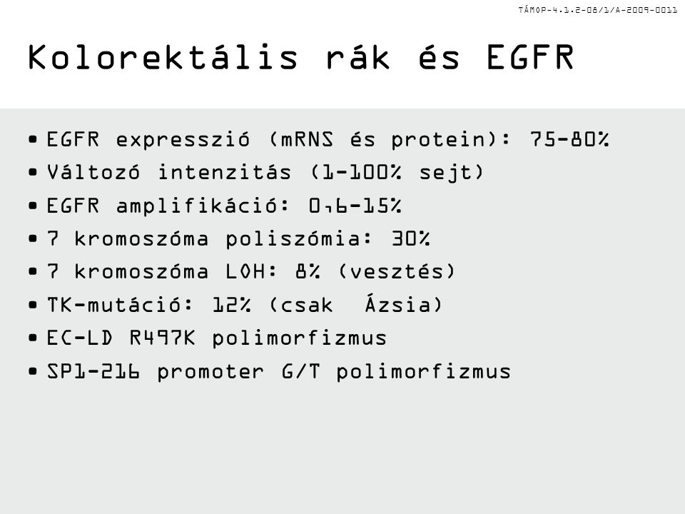 TÁMOP /1/A Kolorektális rák és EGFR EGFR expresszió (mRNS és protein): 75-80% Változó intenzitás (1-100% sejt) EGFR amplifikáció: 0,6-15% 7 kromoszóma poliszómia: 30% 7 kromoszóma LOH: 8% (vesztés) TK-mutáció: 12% (csak Ázsia) EC-LD R497K polimorfizmus SP1-216 promoter G/T polimorfizmus