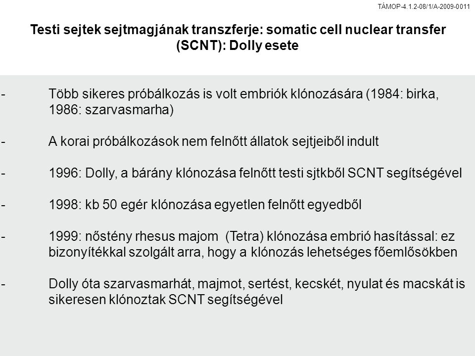 Testi sejtek sejtmagjának transzferje: somatic cell nuclear transfer (SCNT): Dolly esete -Több sikeres próbálkozás is volt embriók klónozására (1984: birka, 1986: szarvasmarha) -A korai próbálkozások nem felnőtt állatok sejtjeiből indult -1996: Dolly, a bárány klónozása felnőtt testi sjtkből SCNT segítségével -1998: kb 50 egér klónozása egyetlen felnőtt egyedből -1999: nőstény rhesus majom (Tetra) klónozása embrió hasítással: ez bizonyítékkal szolgált arra, hogy a klónozás lehetséges főemlősökben -Dolly óta szarvasmarhát, majmot, sertést, kecskét, nyulat és macskát is sikeresen klónoztak SCNT segítségével
