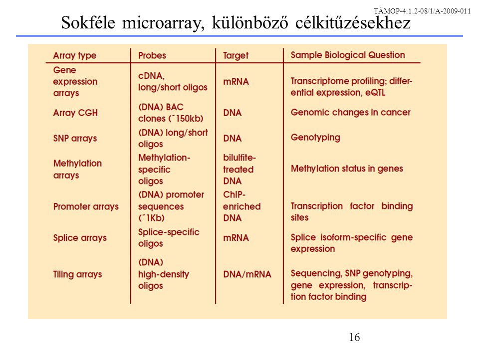 16 Sokféle microarray, különböző célkitűzésekhez TÁMOP /1/A
