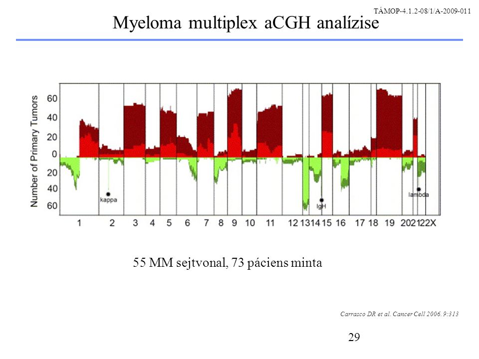 29 Myeloma multiplex aCGH analízise Carrasco DR et al.