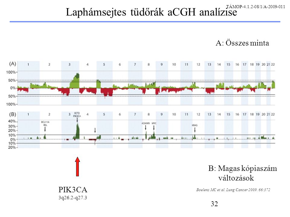 32 Laphámsejtes tüdőrák aCGH analízise Boelens MC et al.