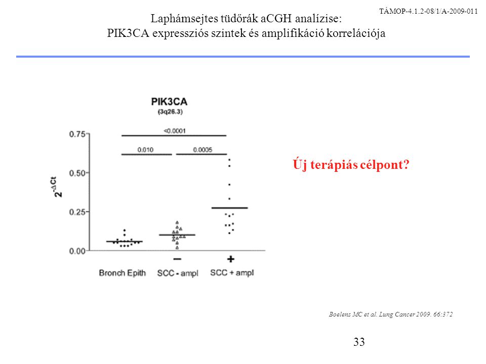 33 Laphámsejtes tüdőrák aCGH analízise: PIK3CA expressziós szintek és amplifikáció korrelációja Boelens MC et al.