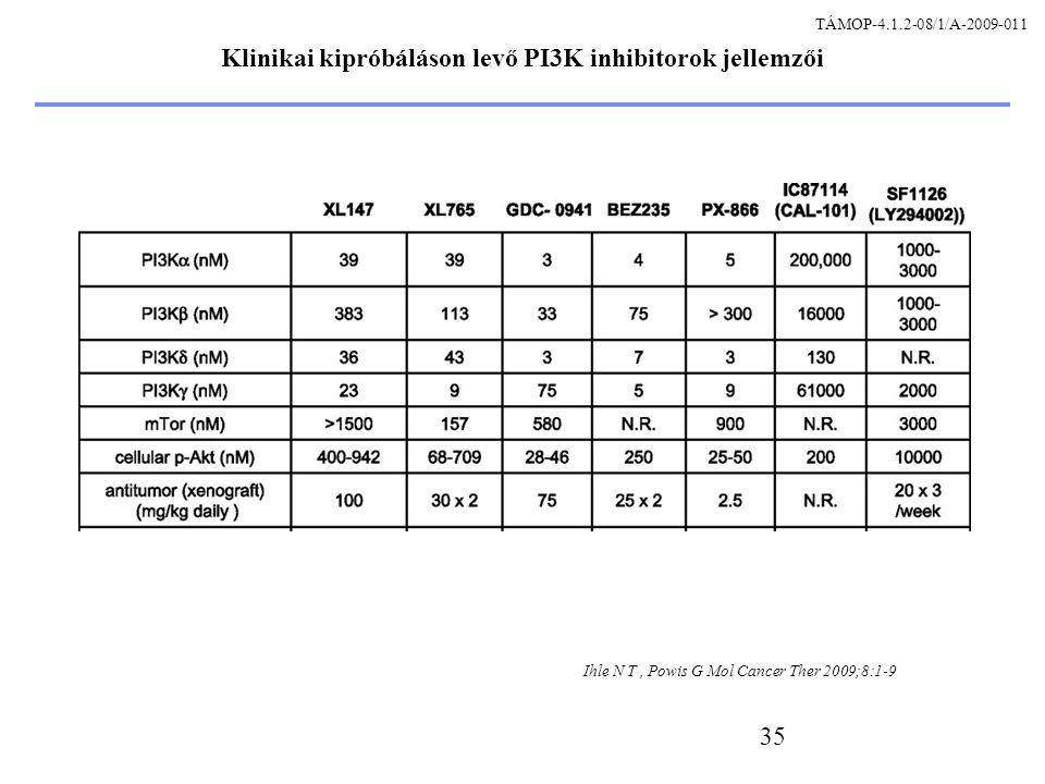 35 Klinikai kipróbáláson levő PI3K inhibitorok jellemzői Ihle N T, Powis G Mol Cancer Ther 2009;8:1-9 TÁMOP /1/A