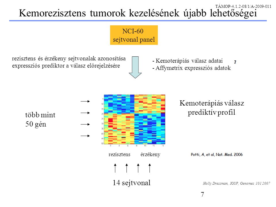 7 14 sejtvonal több mint 50 gén NCI-60 sejtvonal panel rezisztens és érzékeny sejtvonalak azonosítása expressziós prediktor a válasz előrejelzésére - Kemoterápiás válasz adatai - Affymetrix expressziós adatok Kemoterápiás válasz prediktív profil rezisztens érzékeny Kemorezisztens tumorok kezelésének újabb lehetőségei Holly Dressman, IGSP, Genomes TÁMOP /1/A