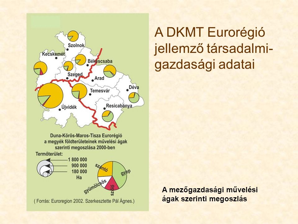A DKMT Eurorégió jellemző társadalmi- gazdasági adatai A mezőgazdasági művelési ágak szerinti megoszlás