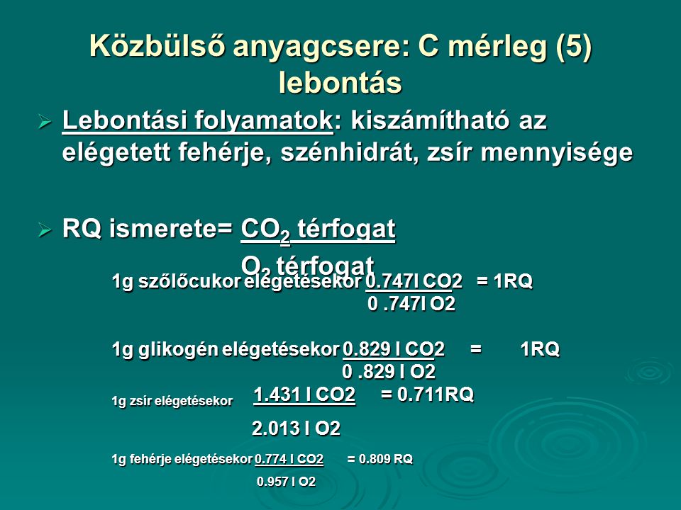 Közbülső anyagcsere: C mérleg (5) lebontás  Lebontási folyamatok: kiszámítható az elégetett fehérje, szénhidrát, zsír mennyisége  RQ ismerete= CO 2 térfogat O 2 térfogat 1g szőlőcukor elégetésekor 0.747l CO2 = 1RQ 0.747l O2 1g glikogén elégetésekor l CO2 = 1RQ l O2 1g zsír elégetésekor l CO2 = 0.711RQ l O l O2 1g fehérje elégetésekor l CO2 = RQ l O l O2