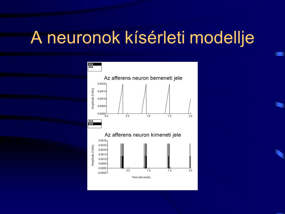 A neuronok kísérleti modellje