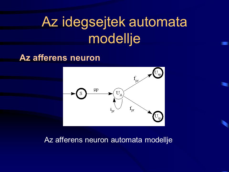 Az idegsejtek automata modellje Az afferens neuron Az afferens neuron automata modellje