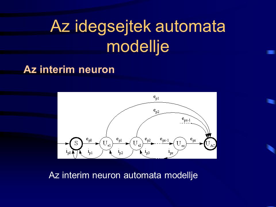 Az idegsejtek automata modellje Az interim neuron Az interim neuron automata modellje