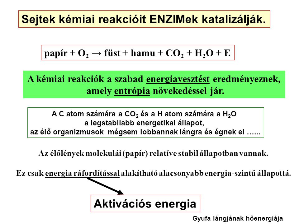 Sejtek kémiai reakcióit ENZIMek katalizálják.