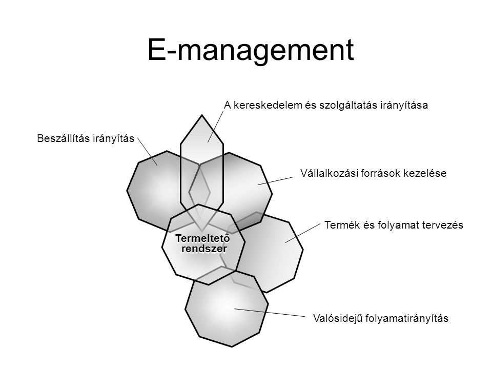 Termék és folyamat tervezés E-management Beszállítás irányítás Vállalkozási források kezelése A kereskedelem és szolgáltatás irányítása Valósidejű folyamatirányítás Termeltető rendszer Termeltető rendszer