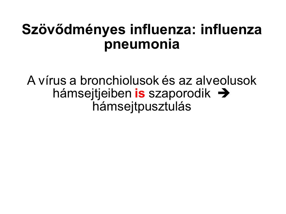 Szövődményes influenza: influenza pneumonia A vírus a bronchiolusok és az alveolusok hámsejtjeiben is szaporodik  hámsejtpusztulás