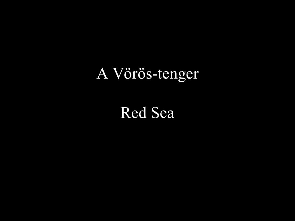A Vörös-tenger Red Sea