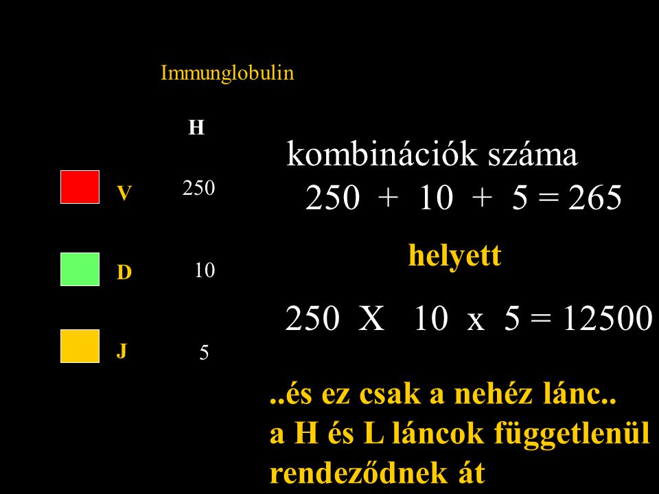 H Immunglobulin VDJVDJ kombinációk száma = 265 helyett 250 X 10 x 5 = és ez csak a nehéz lánc..