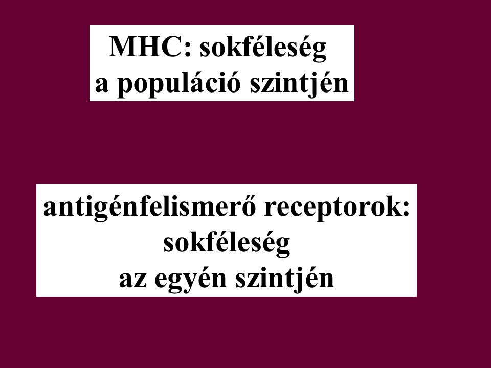 MHC: sokféleség a populáció szintjén antigénfelismerő receptorok: sokféleség az egyén szintjén