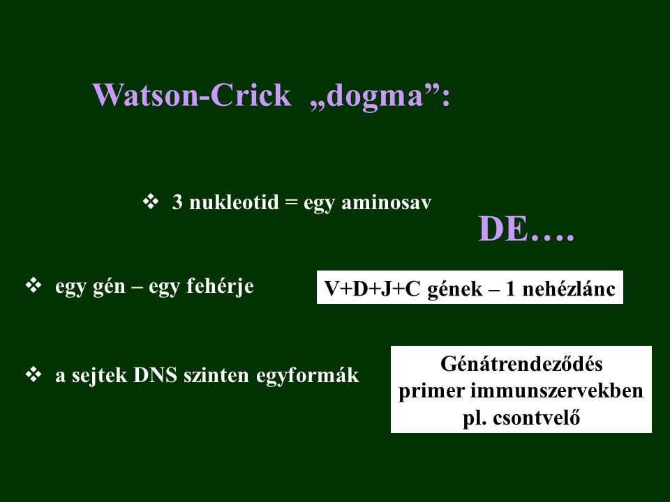 Watson-Crick „dogma :  3 nukleotid = egy aminosav  egy gén – egy fehérje  a sejtek DNS szinten egyformák DE….