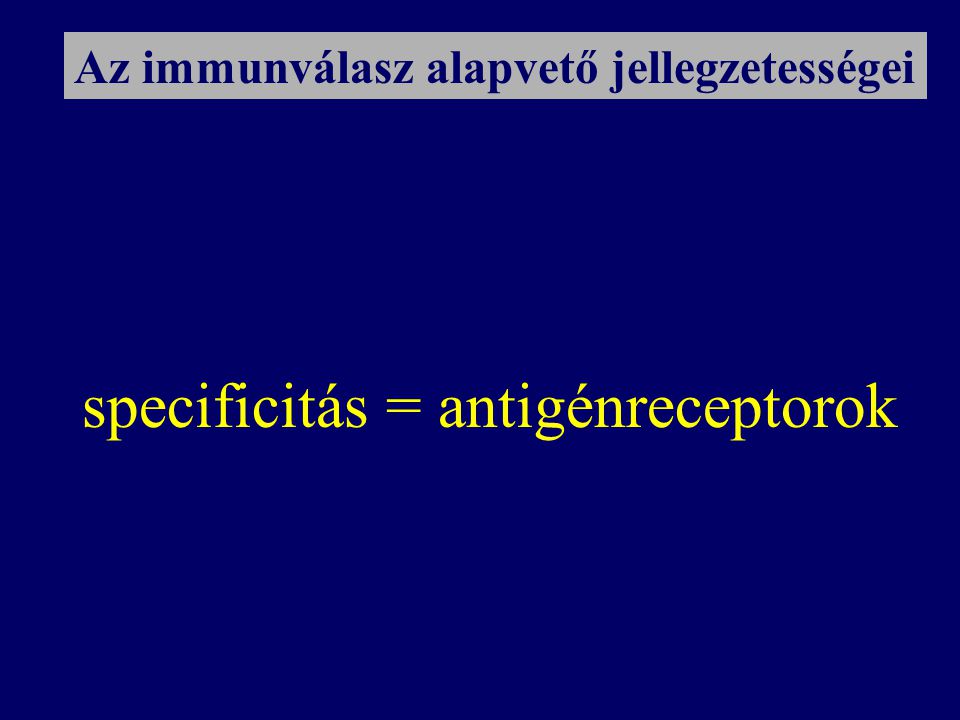 specificitás = antigénreceptorok Az immunválasz alapvető jellegzetességei