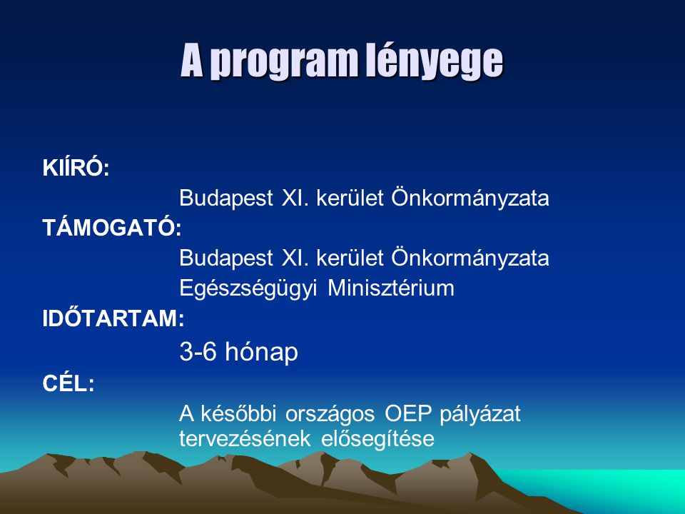 A program lényege KIÍRÓ: Budapest XI. kerület Önkormányzata TÁMOGATÓ: Budapest XI.